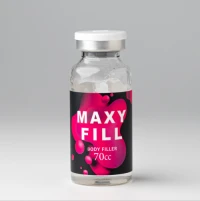 Maxy Fill Body Filler 70 ml